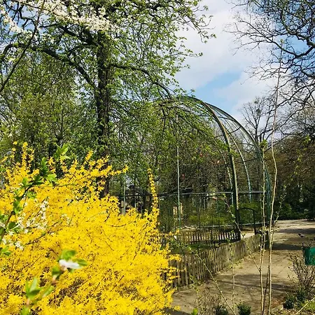 Piper Zajezdnia Blue